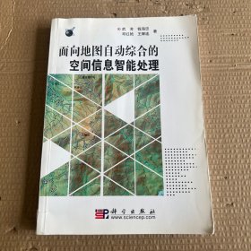 面向地图自动综合的空间信息智能处理