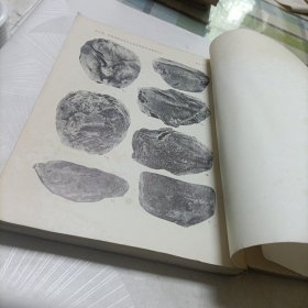 青藏高原科学考察丛书——西藏古生物【第一、三分册】