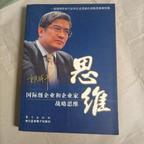 思维：国际级企业和企业家战略思维