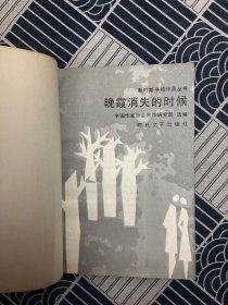 新时期争鸣作品丛书