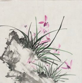 兰石小品 本人手绘 无款国画小品兰花 35乘35