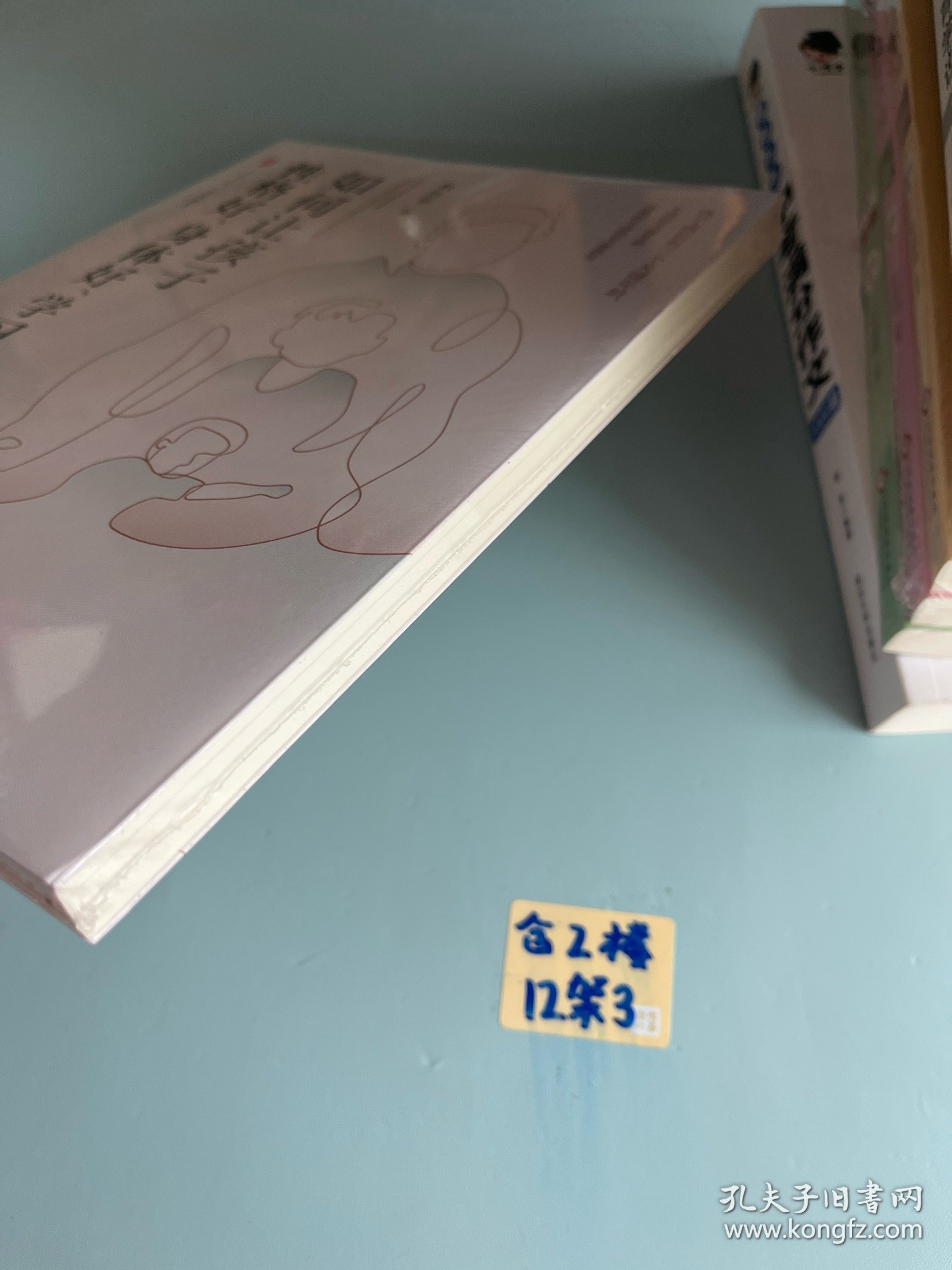 如何让孩子性格好、身体好、学习好 大夏书系