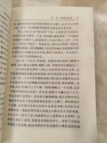 中国企业批判