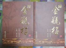 长篇章回小说（金甁梅）上下集