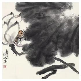 保真书画，周韶峰精致国画小品《荷》，44×44cm，软片，展览作品。周韶峰，湘潭市中国画艺委会副主任，湘乡市美协副主席，中国国家画院邢少臣工作室助教，湖南工程学院客座教授，当代大写意花鸟画优秀画家。