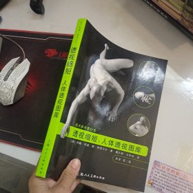 透视缩短：人体透视图库