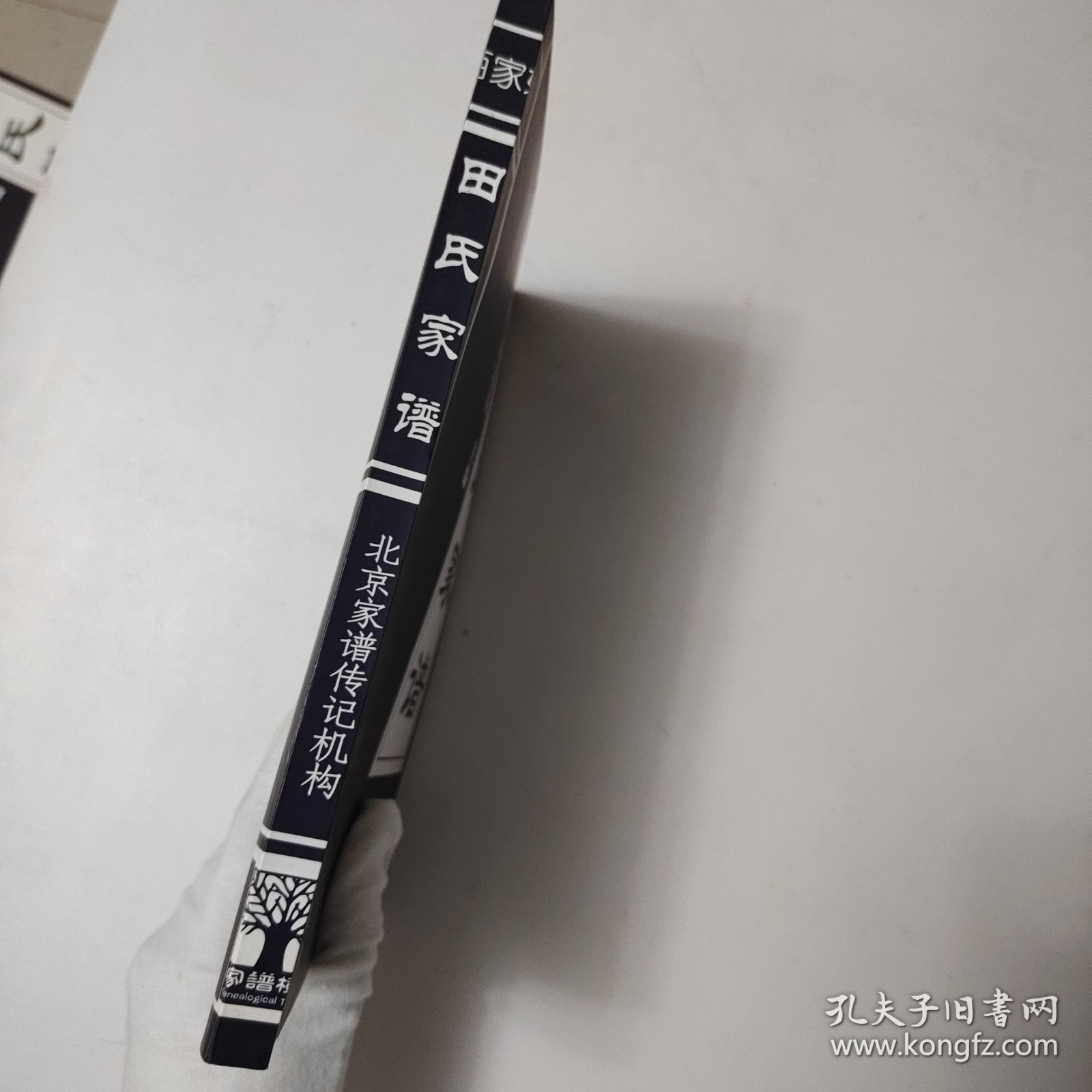 田氏家谱填写手册（空白）（其他各姓氏也有）