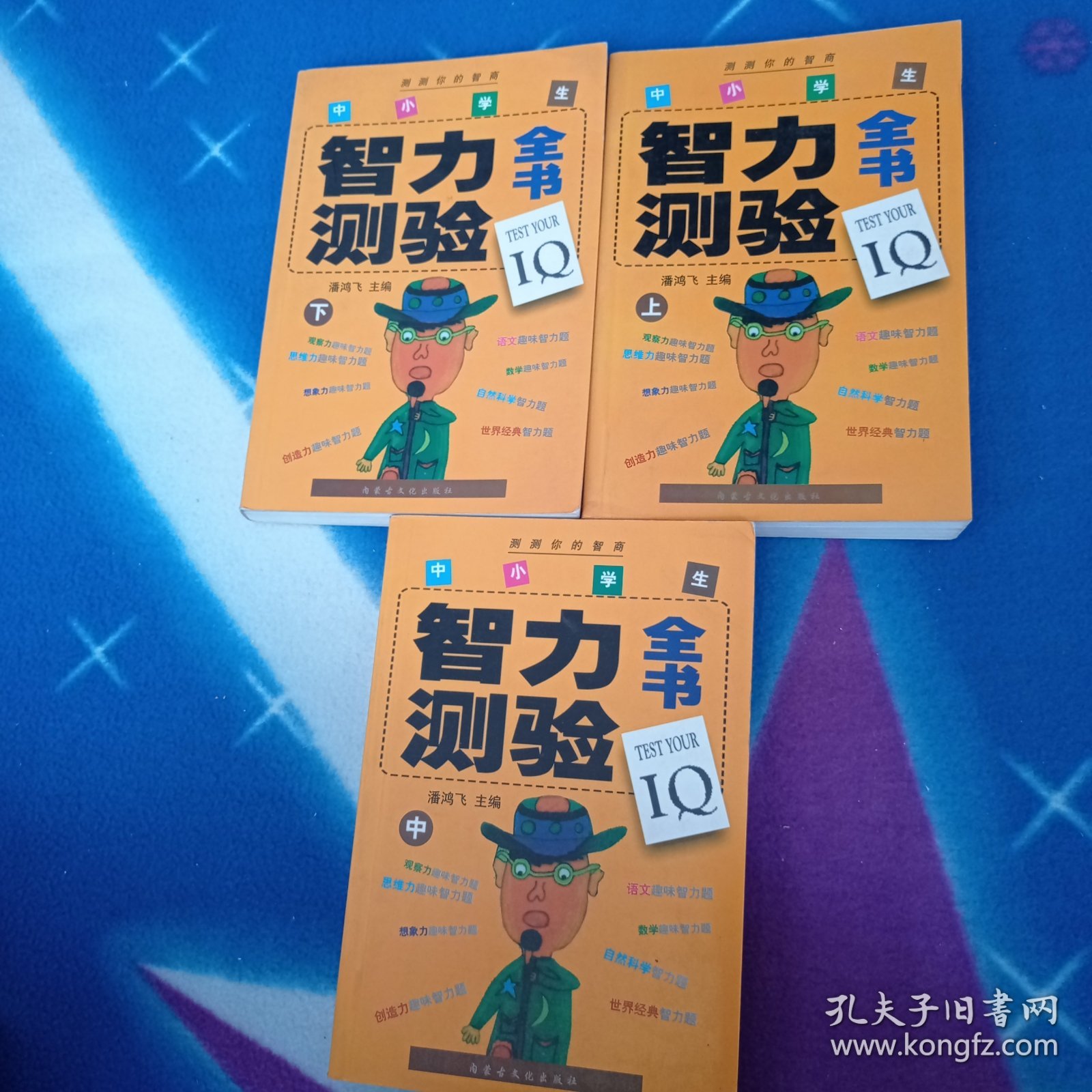 中小学生智力测验全书上中下
