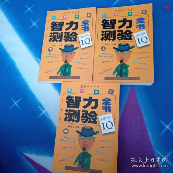 中小学生智力测验全书上中下