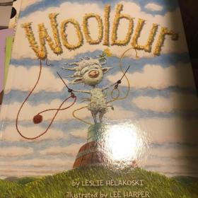 伍尔伯Woolbur