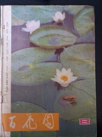 百花园 经典珍藏老文学期刊 阎连科苏童初刊杂志