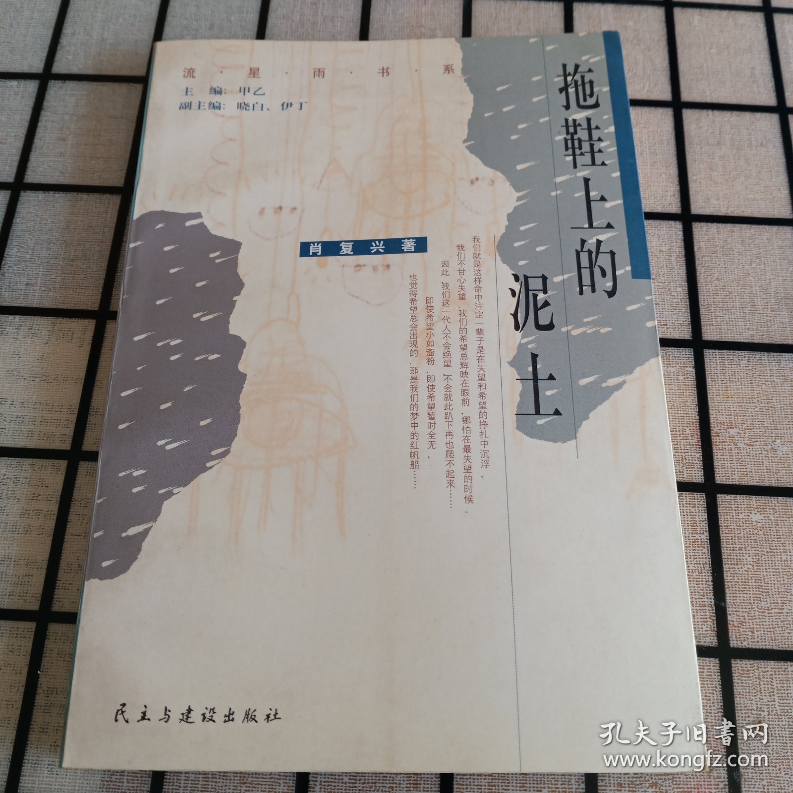 《拖鞋上的泥土》【正版现货，品如图】