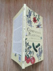 Campanion Planting in New  Zealand，