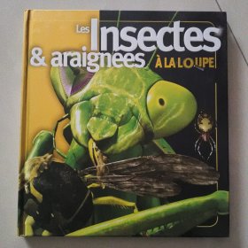 （A La loupe) Les Insectes & araignees 法文插绘本 精装12开