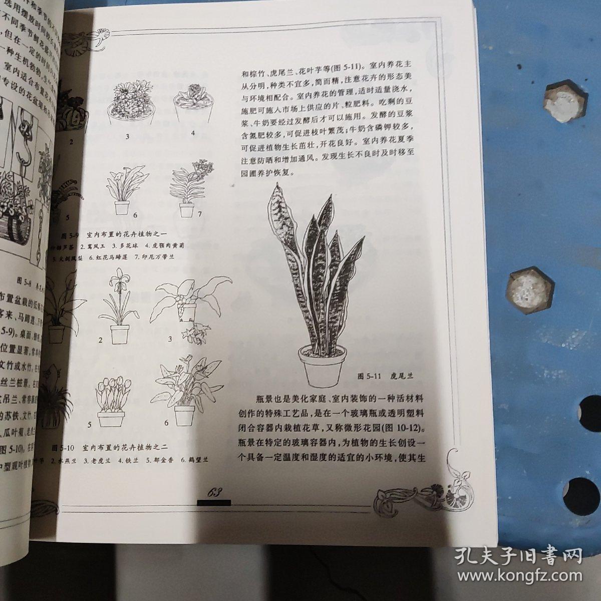 大众四季花卉图说：夏季花卉