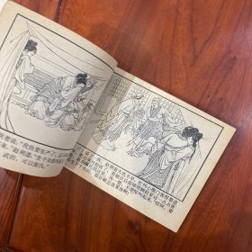 搜孤救孤