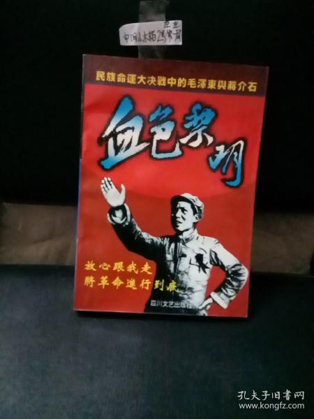 血色黎明:民族命运大决战中的毛泽东与蒋介石