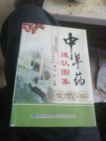 中草药速认图集