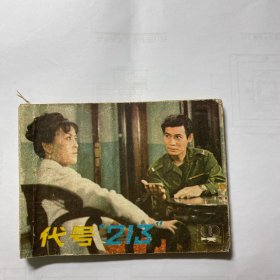 代号213