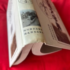 汉语大字典:简编本（1）