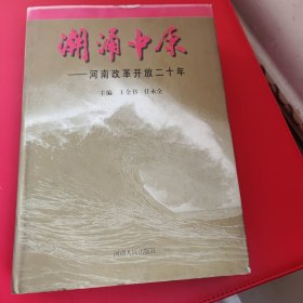 潮涌中原:河南改革开放二十年