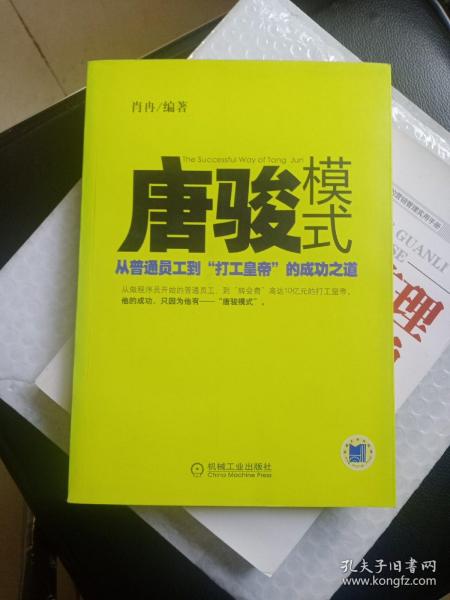 唐骏模式：从普通员工到“打工皇帝”的成功之道