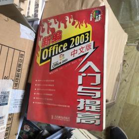 新编Office 2003中文版入门与提高（含盘）