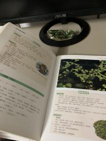 活学活用本草纲目