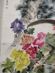 殷小雅 巅峰期精制