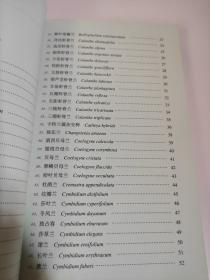 中国常见贸易兰花识别手册 有点水印 有点锯齿