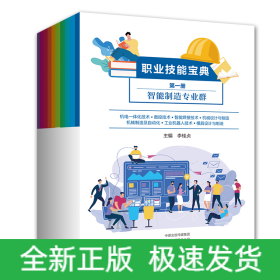 職業(yè)技能寶典（全10冊(cè)）