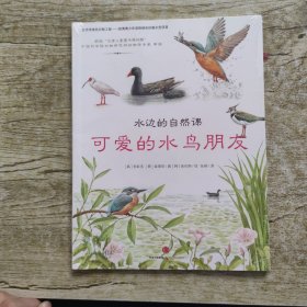 水边的自然课 可爱的水鸟朋友
