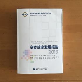 资本效率发展报告2019