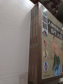 图解人体经络穴位养生大全（全三卷）