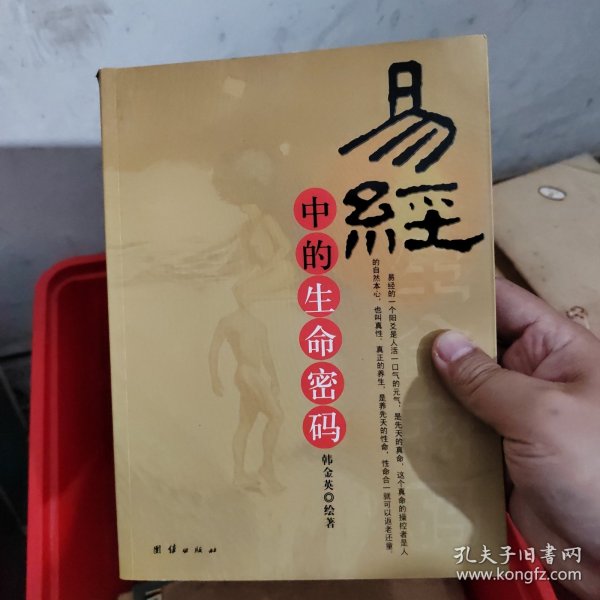 易经中的生命密码