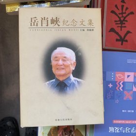 岳肖峡纪念文集