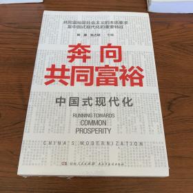 奔向共同富裕（读懂共同富裕，看清未来中国！深入浅出，雅俗共赏，两大TOP级智库联袂巨献，通俗理论重磅大作！）