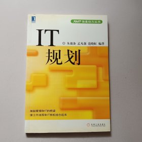 IT规划