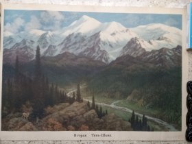 1955年岀版的俄罗斯名画《雪山下的一只羊》.此画作宜装框悬挂于客厅，它会将你带进大自然的怀抱之中。