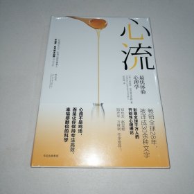 心流：最优体验心理学