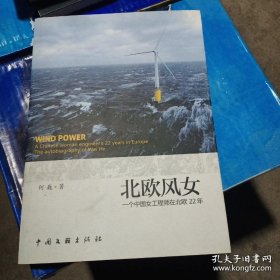 （作者签赠本有章）北欧风女 一个中国女工程师在北欧22年何巍自传北欧风女