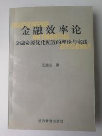 金融效率论 金融资源优化配置的理论与实践