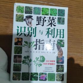 野菜识别与利用指南