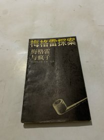 梅格雷探案 梅格雷与疯子