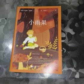 小雨果（国际安徒生奖。独立的孩子，能在风雨中找到自信的人生！）