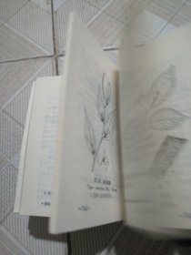 东北常用中草药手册，3本合售
