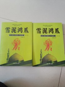 雪泥鸿爪，回族文化与历史论集