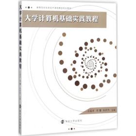 高等院校信息技术课程精选规划教材：大学计算机基础实践教程