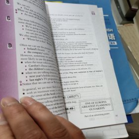 Advanced Grammar in Use 高级语法的使用