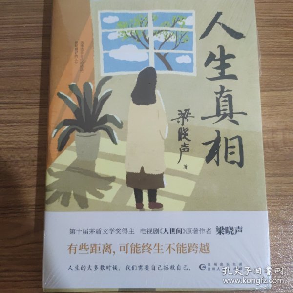 人生真相（第十届茅盾文学奖得主、电视剧《人世间》原著作者梁晓声，致敬生活中的每一个孤勇者!）